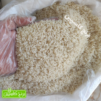 برنج کشت دوم فوق ممتاز