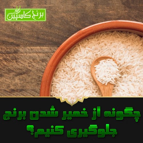 خمیر شدن برنج خمیر شدن برنج