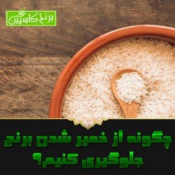 خمیر شدن برنج