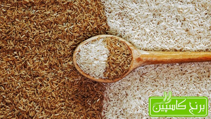 برنج قهوه ای برنج قهوه ای