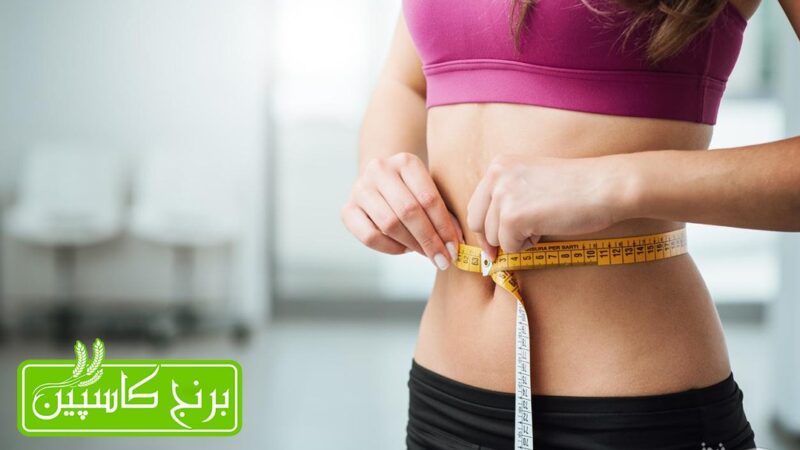برنج قهوه ای برنج قهوه ای