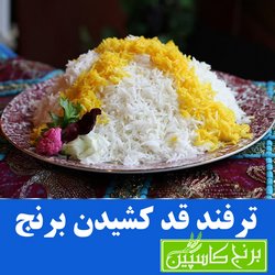 روش قد کشیدن برنج