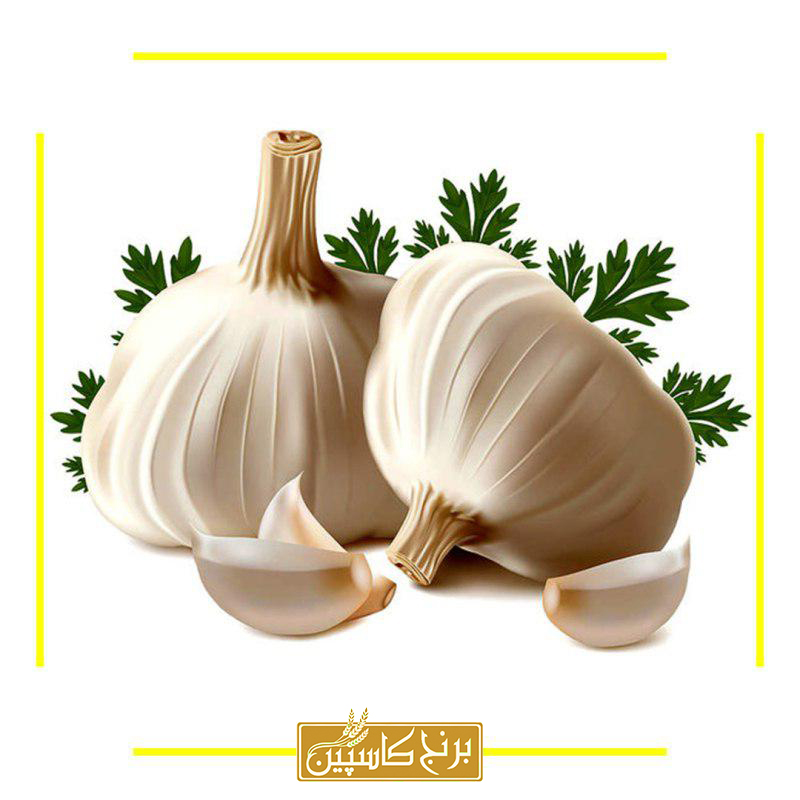 روش صحیح قرار دادن سیر در برنج