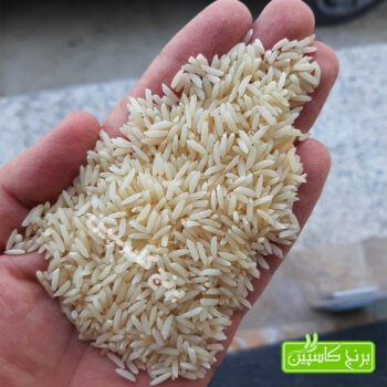 برنج دودی هاشمی ممتاز گیلان