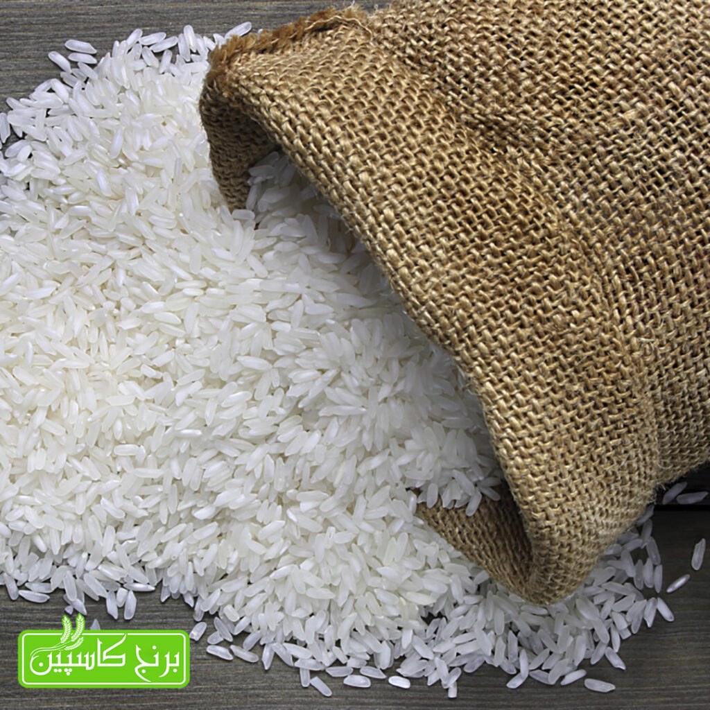 برنج تراریخته