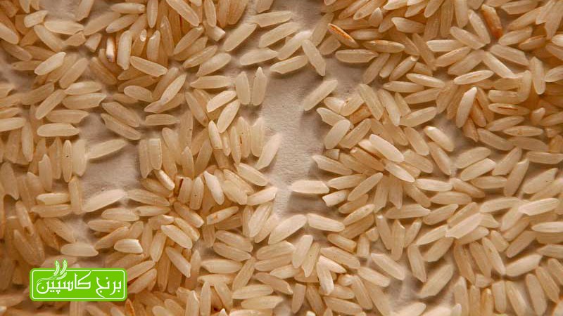 برنج کهنه چیست؟ برنج کهنه چیست؟
