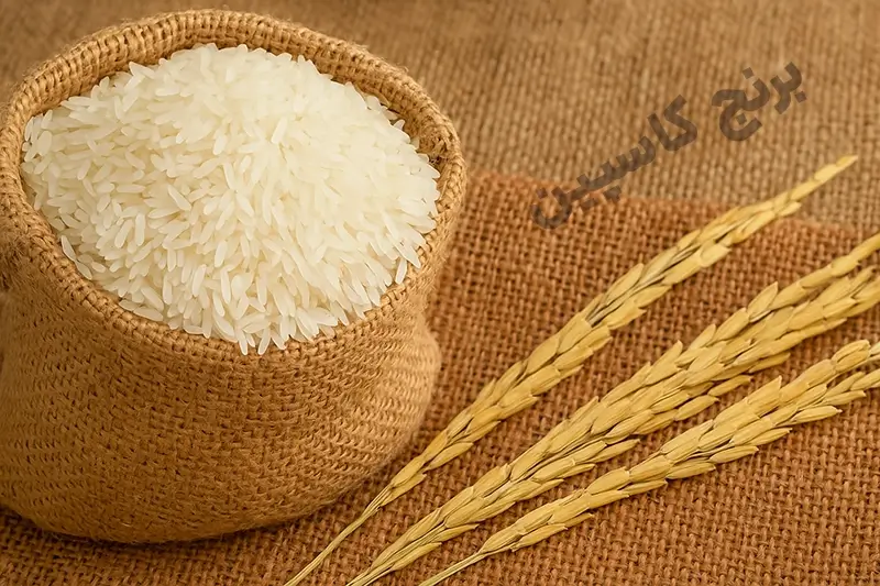 برنج تازه چیست ؟