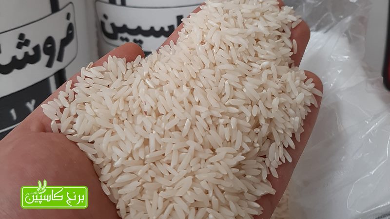 برنج دم سیاه