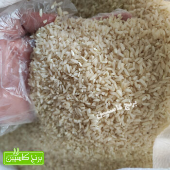برنج سرلاشه کشت دوم