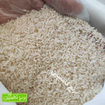 برنج سرلاشه طارم هاشمی