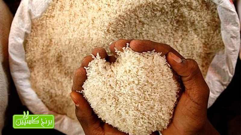 راه های پیشگیری از کرم زدن برنج