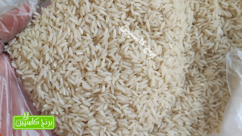 برنج کشت دوم