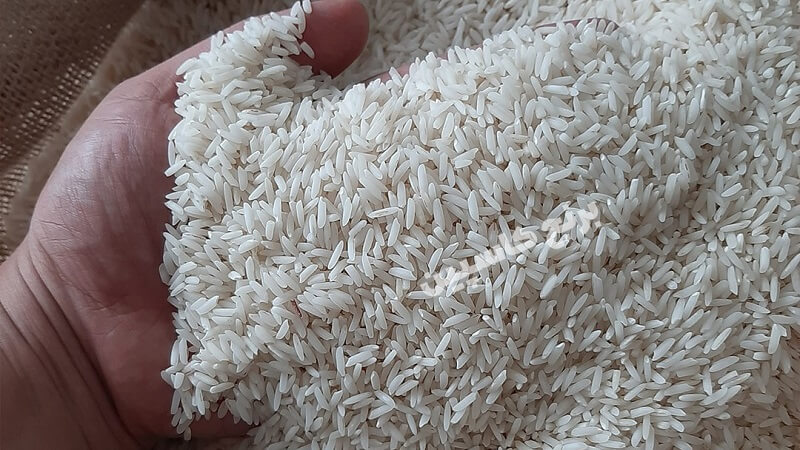 برنج طارم