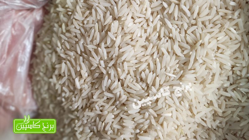 برنج راتون چیست؟