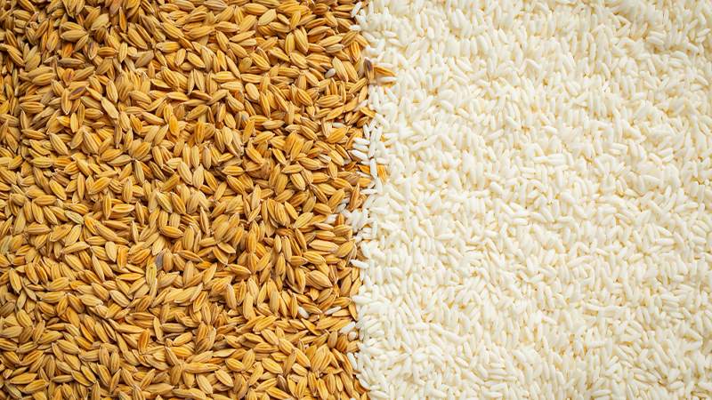 قیمت برنج طارم