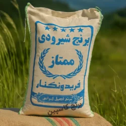 برنج شیرودی کارخانه ای